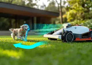 Robot som identifiserer en hund